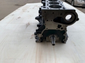 Блок цилиндров G4ED 1.6л. ALPHA 21102-26C00 в сборе с поршневой и коленвалом ( комплектация SHORT ) Восстановленный.