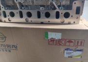 Головка блока D20DTR / D20DTF / D22 Нью Актион, Рекстон , Актион Спорт 2012-  "пустая" Оригинал