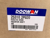 Радиатор охлаждения 25310-2P920 (R302734090)  Sorento 2.4л 2011- под МКПП Doowon, Ю.Корея