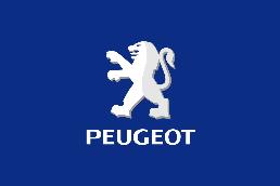 Запчасти PSA (Peugeot Citroen)